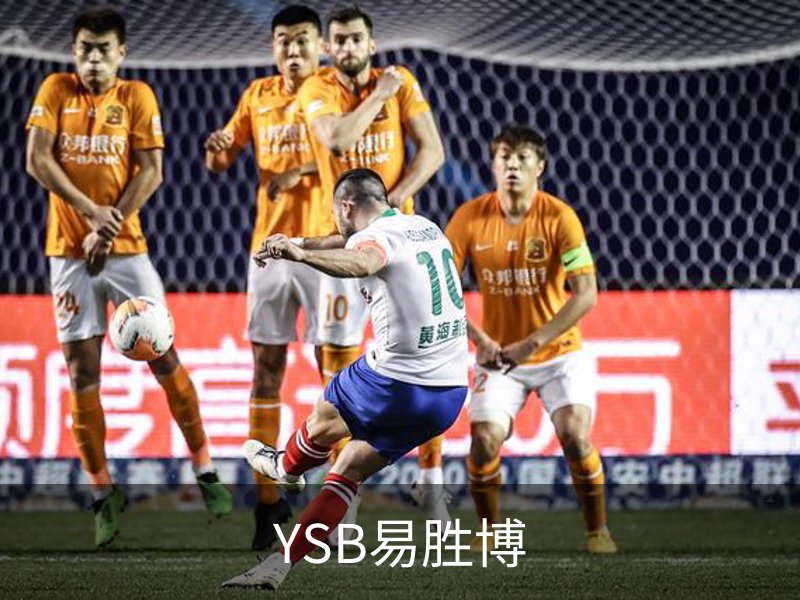 YSB易胜博简介